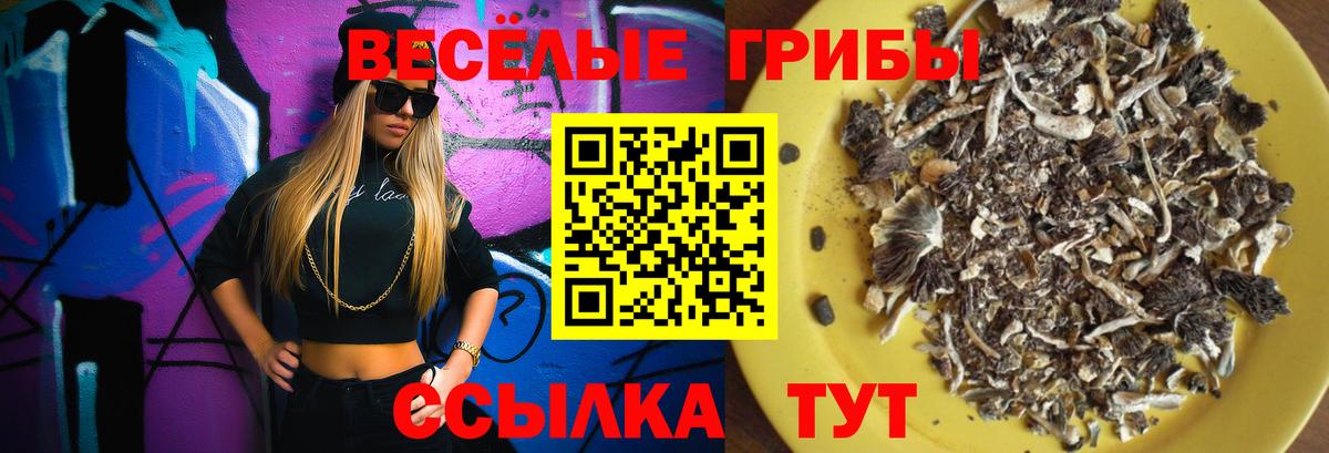 Галлюциногенные грибы MAGIC MUSHROOMS Смоленск